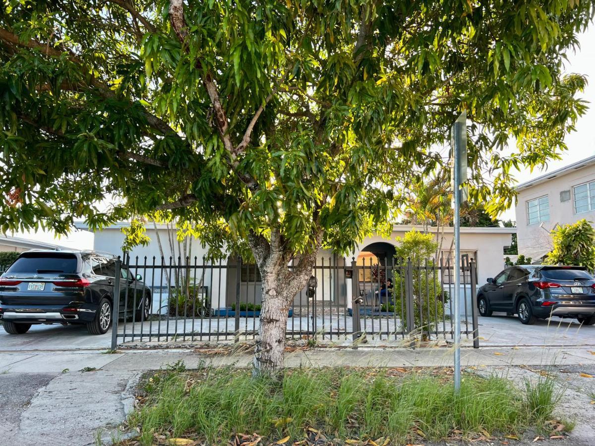 Coral Gable 3Br House Parking & Villa Miami Eksteriør billede